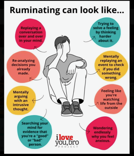 lyb rumenating